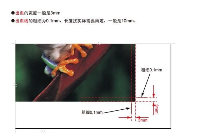 d03784afe0081650db961c7895ff22ee.png